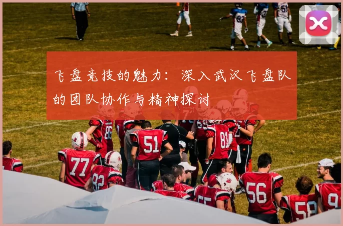 飞盘竞技的魅力：深入武汉飞盘队的团队协作与精神探讨