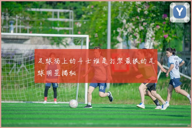 足球场上的斗士谁是打架最狠的足球明星揭秘