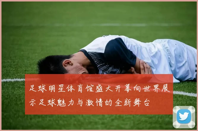 足球明星体育馆盛大开幕向世界展示足球魅力与激情的全新舞台