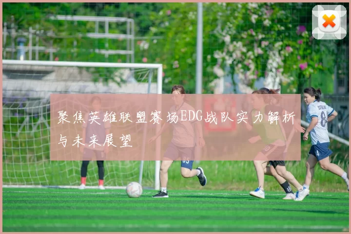 聚焦英雄联盟赛场EDG战队实力解析与未来展望