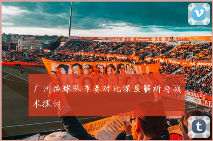 广州排球队节奏对比深度解析与战术探讨