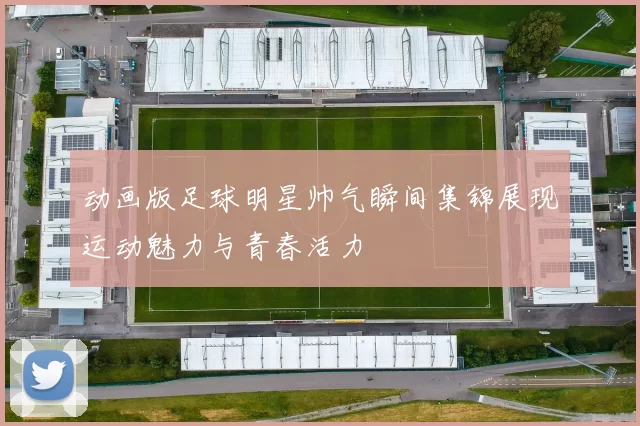 动画版足球明星帅气瞬间集锦展现运动魅力与青春活力