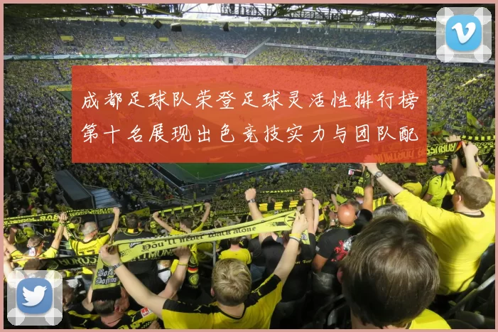 成都足球队荣登足球灵活性排行榜第十名展现出色竞技实力与团队配合