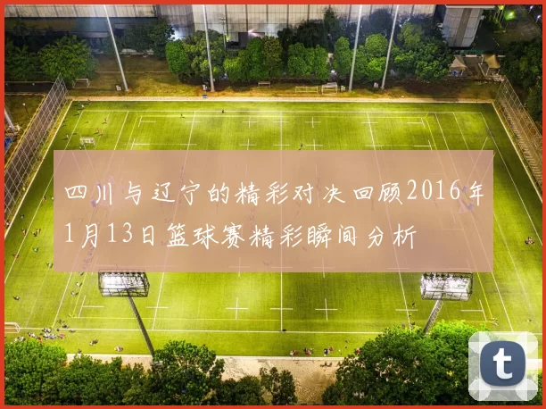 四川与辽宁的精彩对决回顾2016年1月13日篮球赛精彩瞬间分析