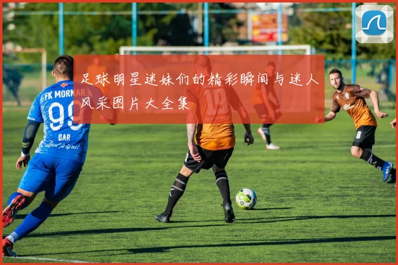足球明星迷妹们的精彩瞬间与迷人风采图片大全集