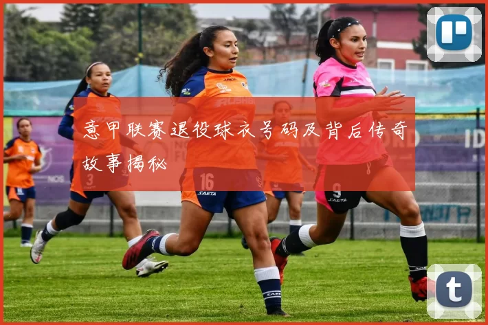 意甲联赛退役球衣号码及背后传奇故事揭秘