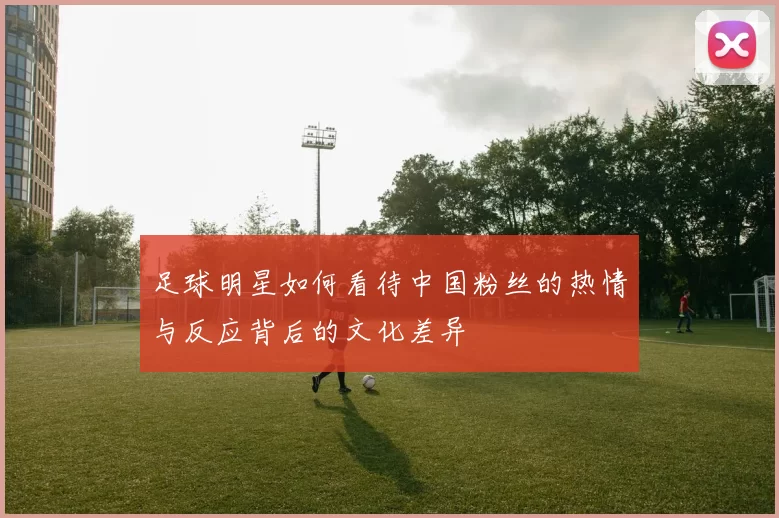 足球明星如何看待中国粉丝的热情与反应背后的文化差异