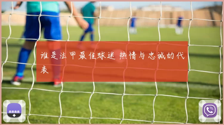谁是法甲最佳球迷 热情与忠诚的代表