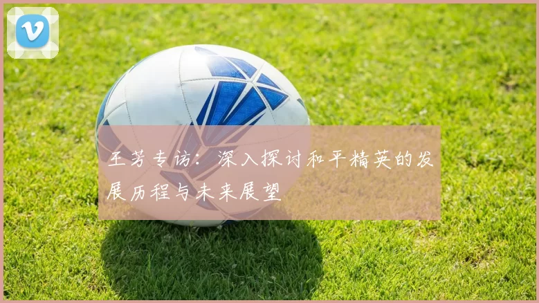 王芳专访：深入探讨和平精英的发展历程与未来展望